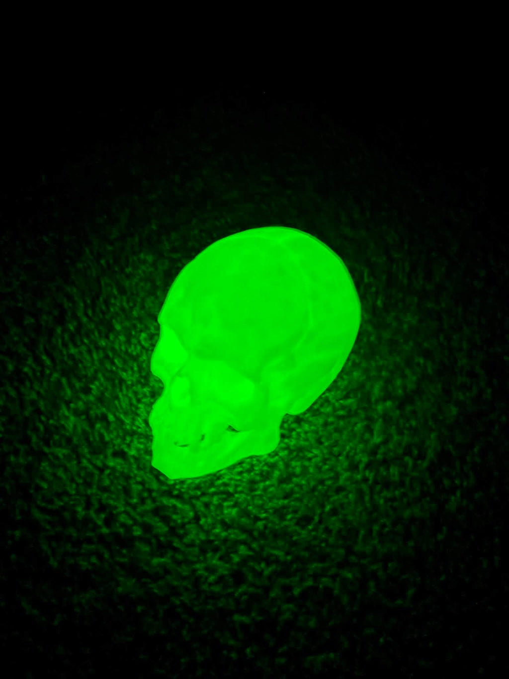 Glow in the dark human skull - GeeRay Studio