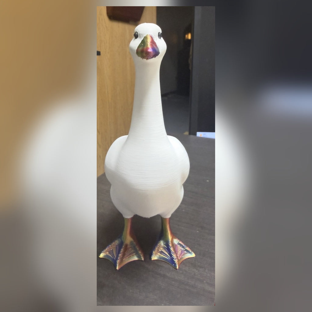 3D printed desk goose, front view, rainbow beak and feet