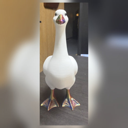 3D printed desk goose, front view, rainbow beak and feet