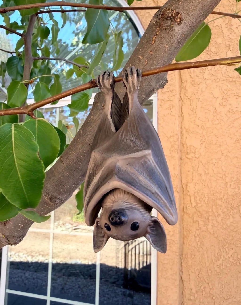 Realistic Hanging Bat - GeeRay Studio